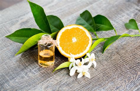 neroli oil vs orange blossom.